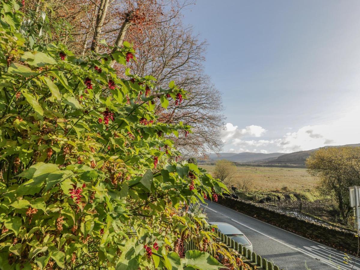 Bryn Melyn Artist'S Cottage Llanelltyd المظهر الخارجي الصورة